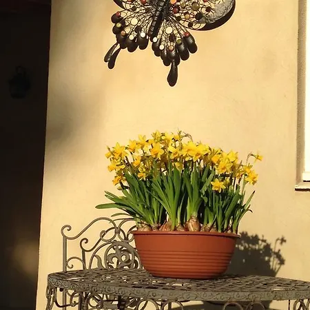 Frühstückspension L'orangerie Carcassonne