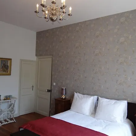 Frühstückspension L'orangerie Carcassonne